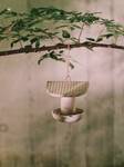 cosy mangeoire silo 18cm mushroom beige